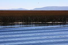 770-Lago Titicaca,13 luglio 2013